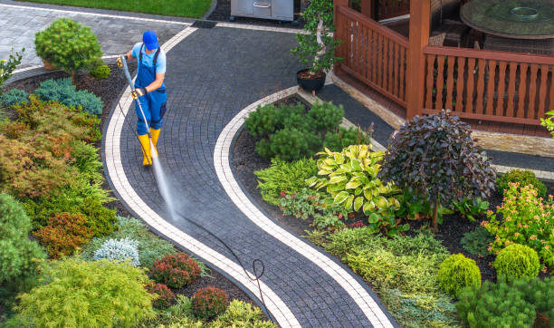 Local Pressure Washing Services in Des Plaines, IL